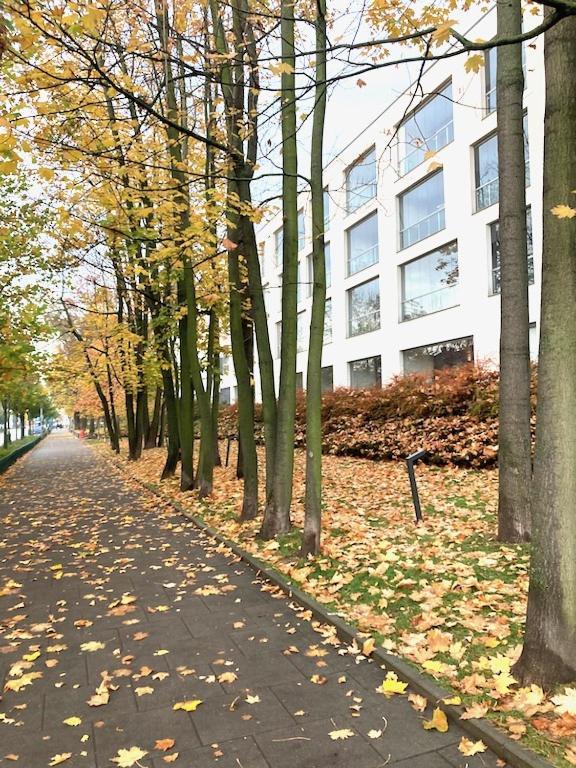 Apartment Novum Rakowicka Street Krakow Dış mekan fotoğraf